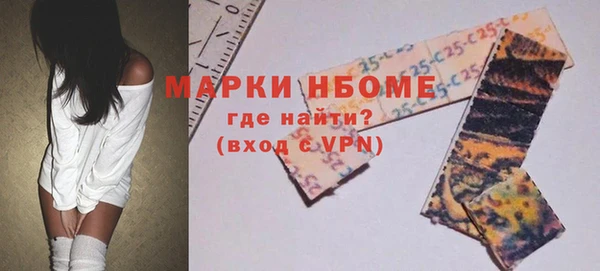 прущие грибы Приозерск