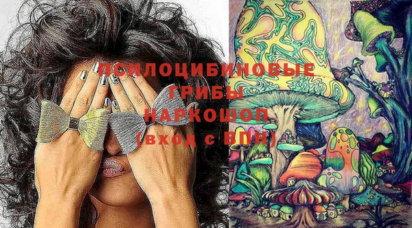 гидра Алексин
